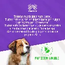 BRAVECTO_TAB4_20-40KG_AZUL_01.webp