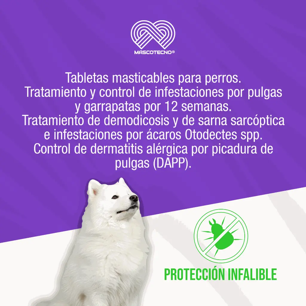 BRAVECTO_TAB5_40-56KG_FUCSIA_01.webp