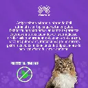 ADVOCATE_GATOS_8KG_1UND_01.webp