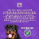 ADVOCATE_PERROS_+25KG_01.webp