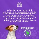 ADVOCATE_PERROS_4-10KG_01.webp