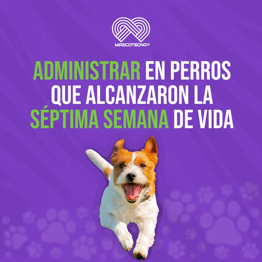 ADVOCATE_PERROS_4KG_05.webp