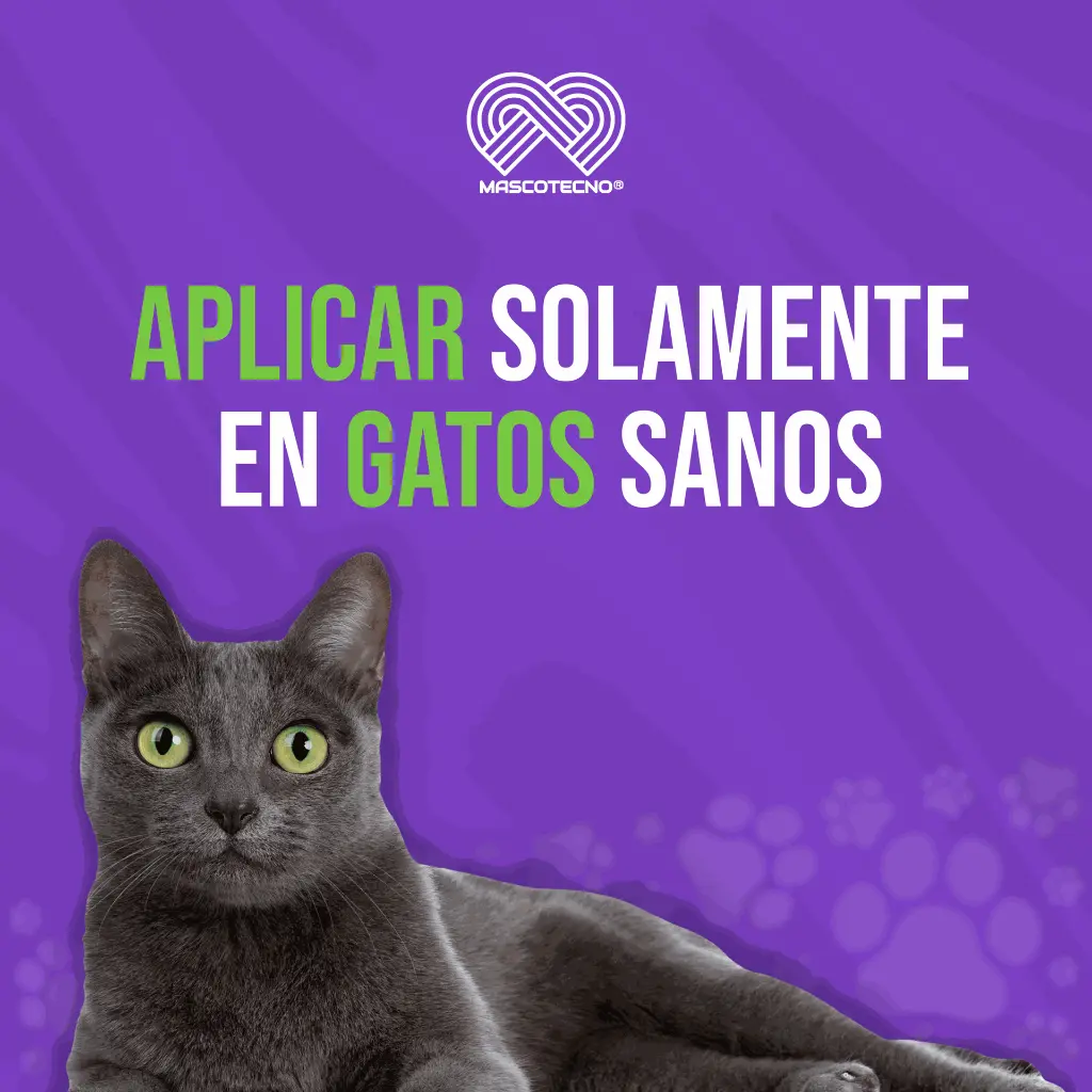 VACUNA_PROCYON_HCPCH+FELV_(TRIPLE_FELINA+LEUCEMIA+J)_06.webp