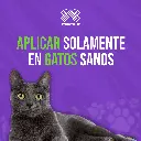 VACUNA_PROCYON_HCPCH+FELV_(TRIPLE_FELINA+LEUCEMIA+J)_06.webp