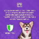 VACUNA_RECOMBITEK_C3_PUPPY_01.webp