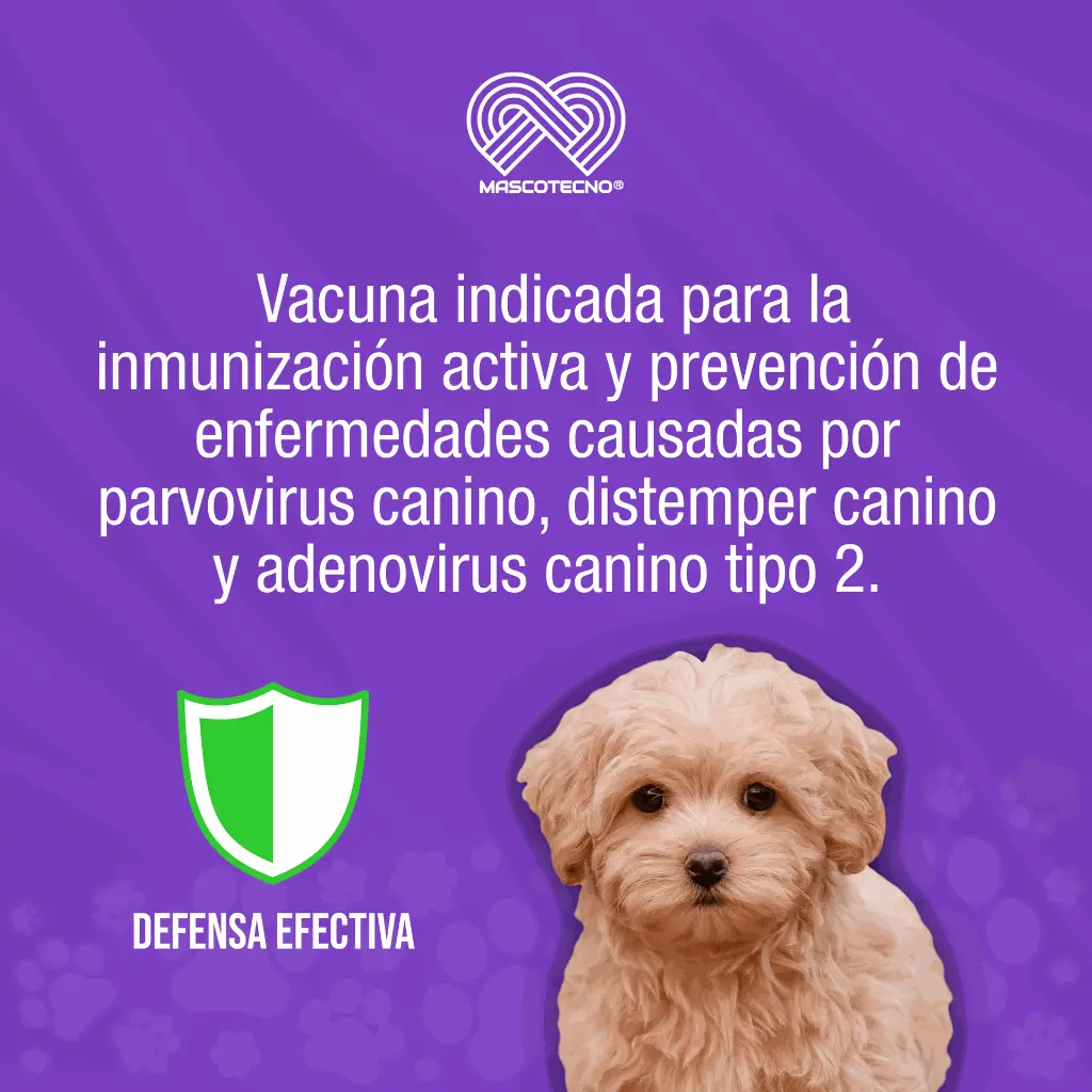 VACUNA_INMUNOVAX_DPA2_PUPPY_01.webp
