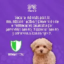 VACUNA_INMUNOVAX_DPA2_PUPPY_01.webp