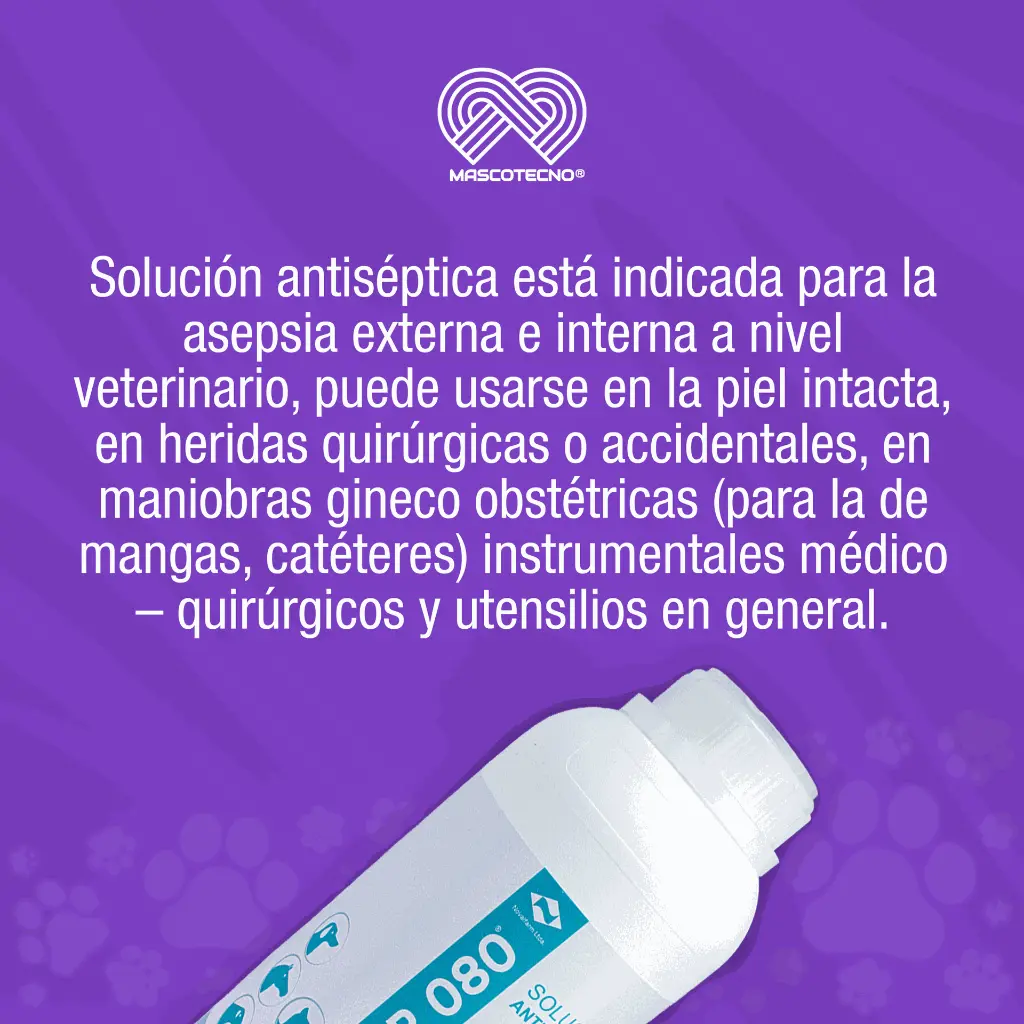 IXER_1LT_01.webp