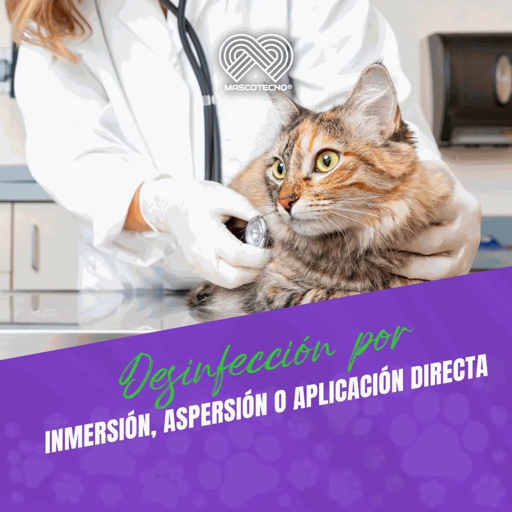 IXER_1LT_04.webp