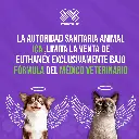 EUTHANEX_20ML_04.webp