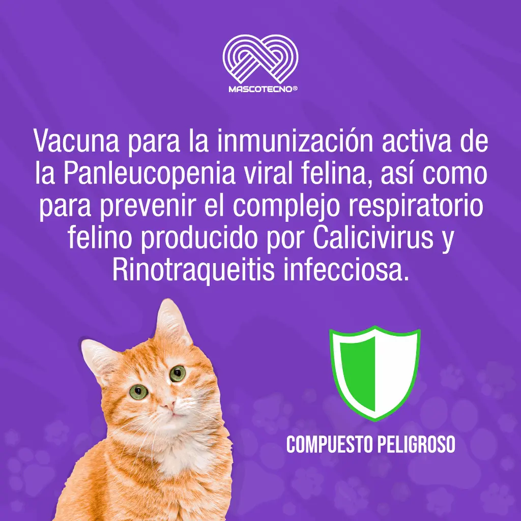 VACUNA_FELIGEN_CRP_TRIPLE_FELINA_01.webp