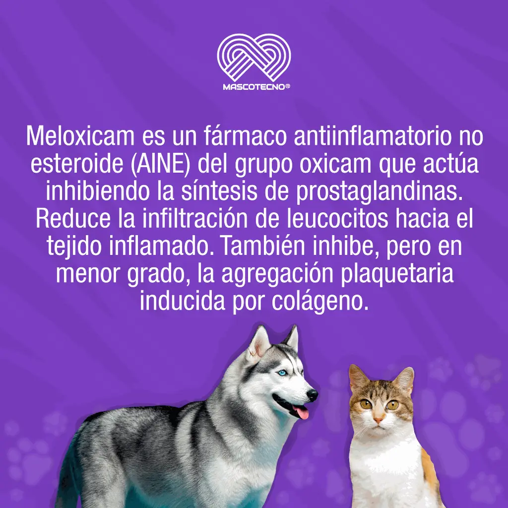 MELOXIPROC_ORAL_10ML_01.webp