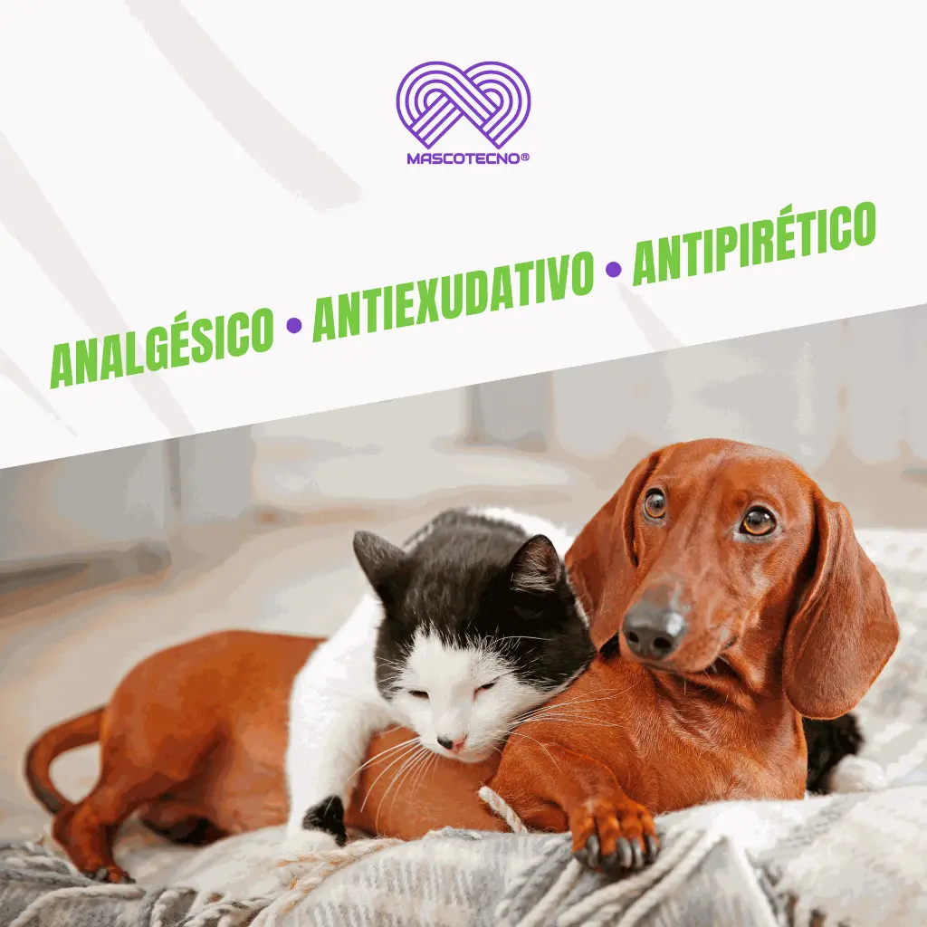 MELOXIPROC_ORAL_10ML_04.webp