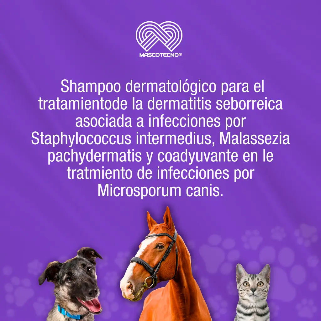 SHAMPOO_MICLORPROC_250ML_01.webp