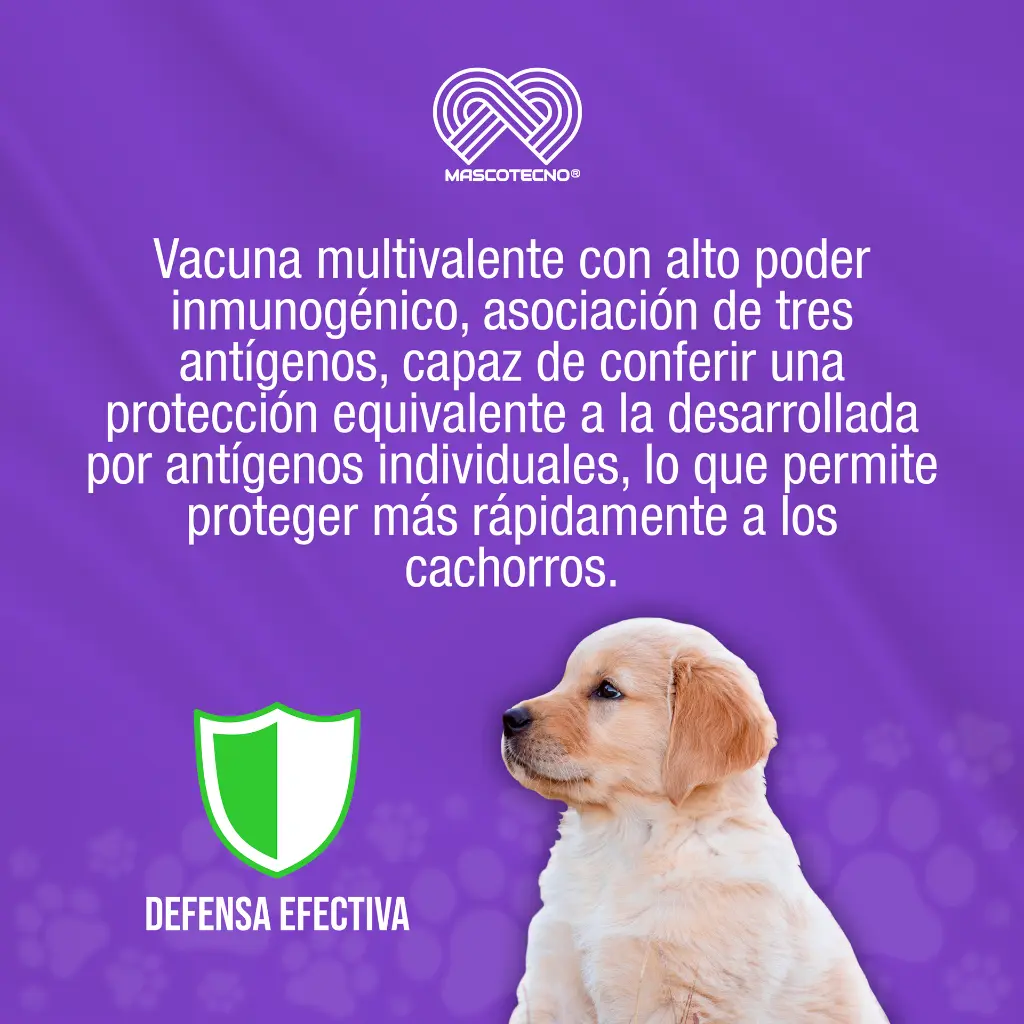 VACUNA_CANIGEN_PUPPY_01.webp