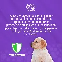 VACUNA_CANIGEN_PUPPY_01.webp
