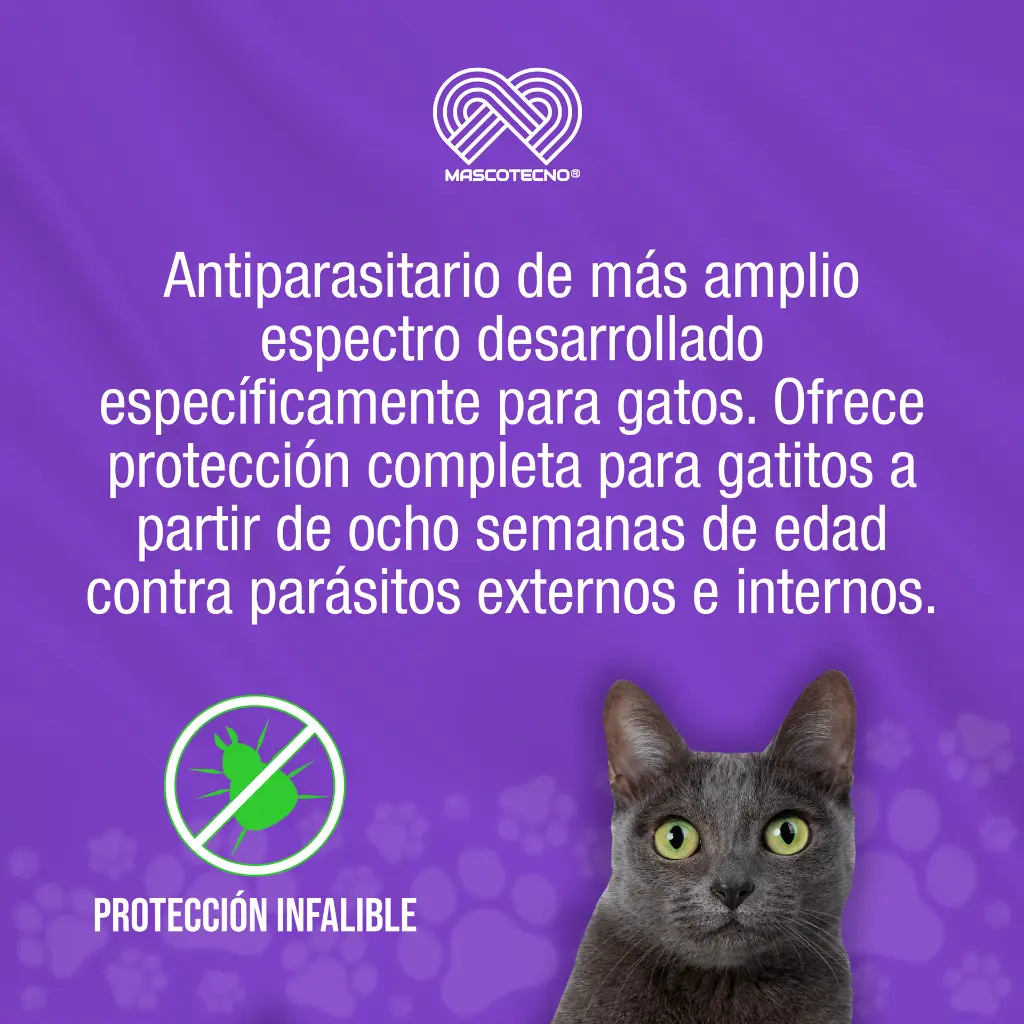 NEXGUARD_COMBO_CAT_0.7-2.5KG_01.webp