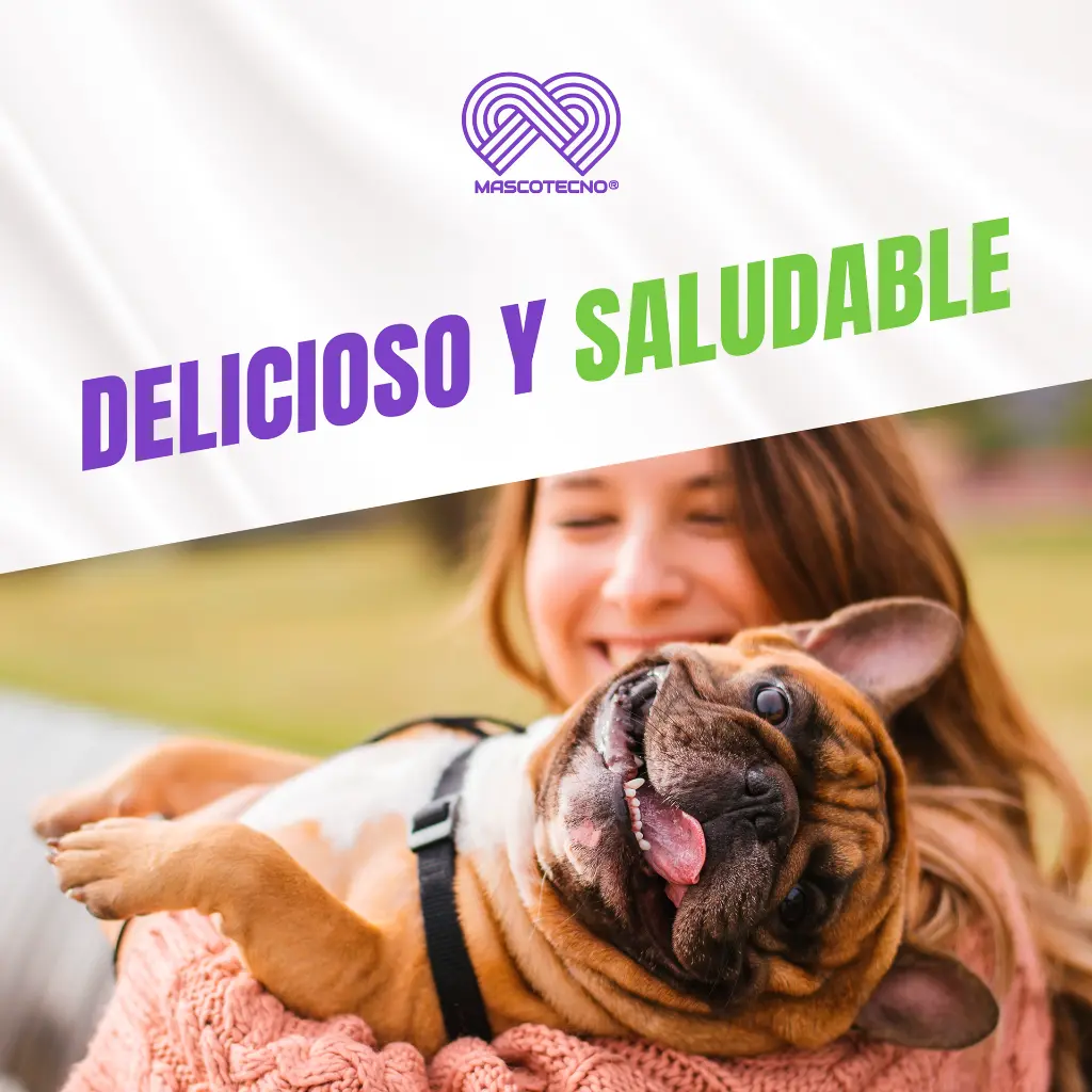 DOG_CHURU_POLLO_QUESO_04.webp