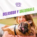 DOG_CHURU_POLLO_QUESO_04.webp