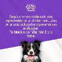 DOG_CHURU_POLLO_ATUN_01.webp