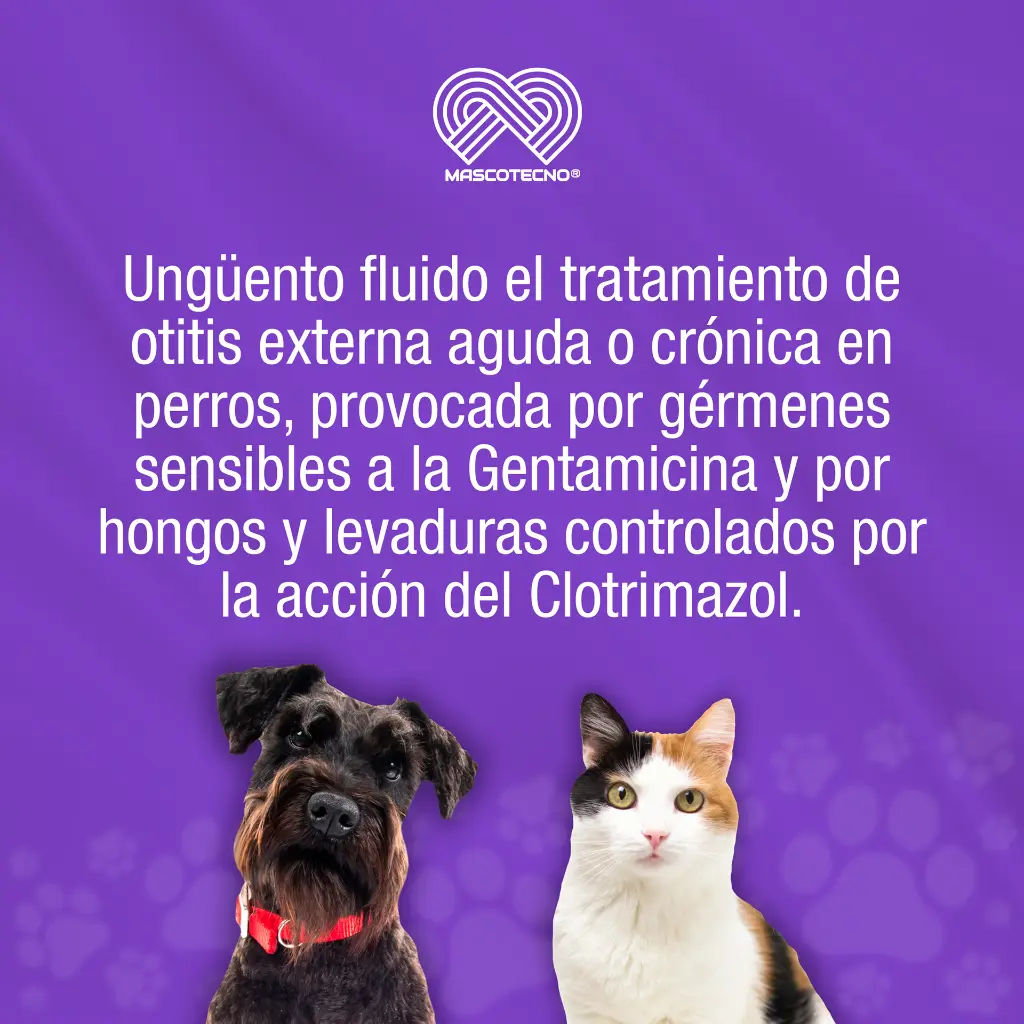 GENTAX_OTICO_15GR_01.webp