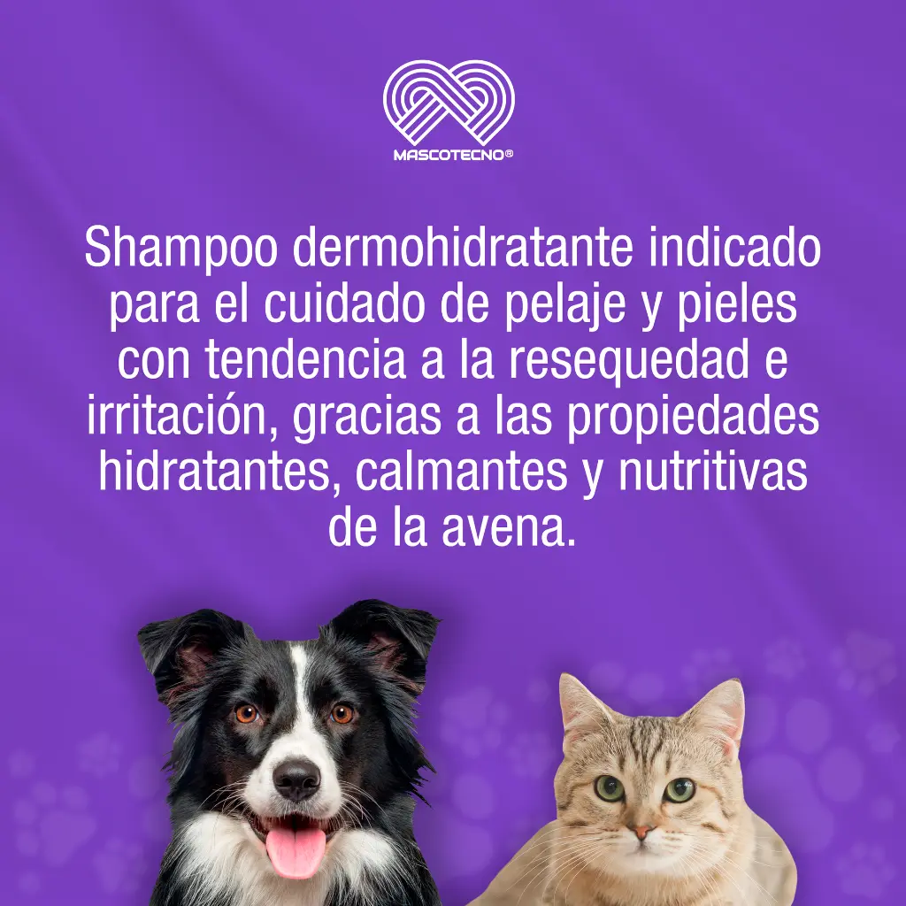 SHAMPOO_PETLIFE_DERMOHIDRATANTE_250ML_01.webp