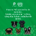 PINES_PVC_MASCOTAS_01.webp