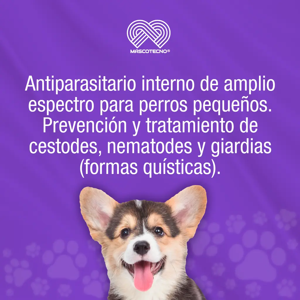 TOTAL_F_LC_PERRO_PEQUENNO_2UND_01.webp