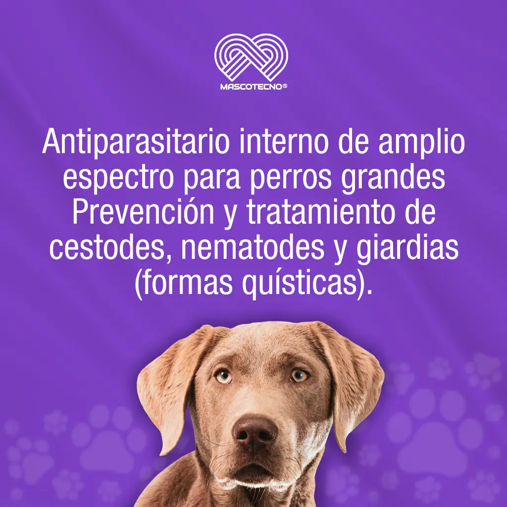 TOTAL_F_LC_PERRO_GRANDE_3UND_01.webp