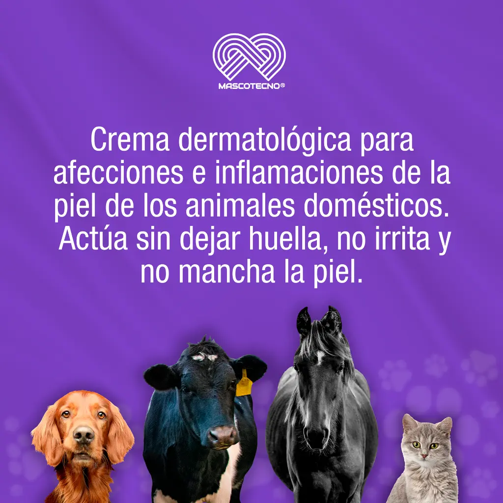 CUTAMYCON_VF_CREMA_35G_01.webp