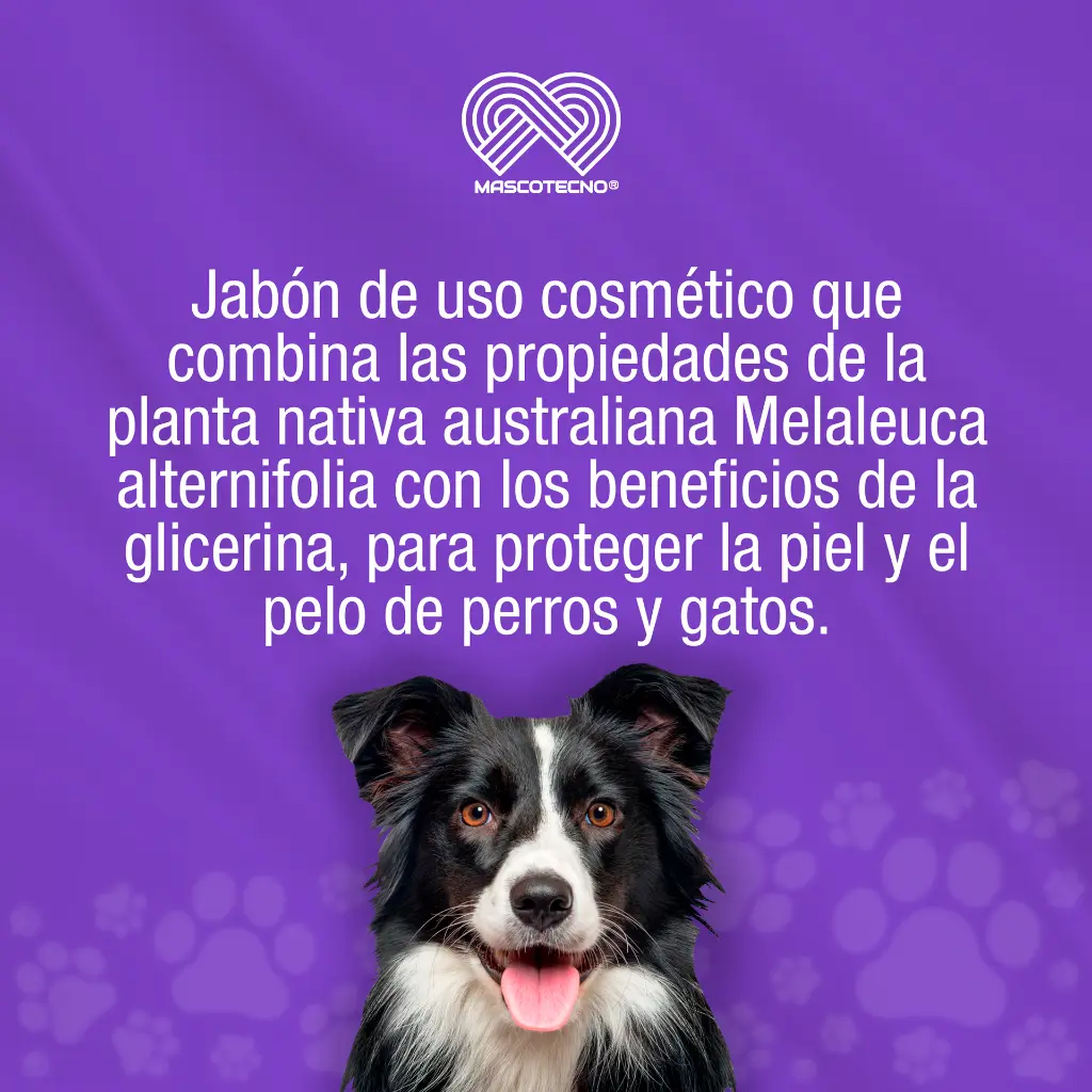 JABON_CANAMOR_TE_90GR_01.webp