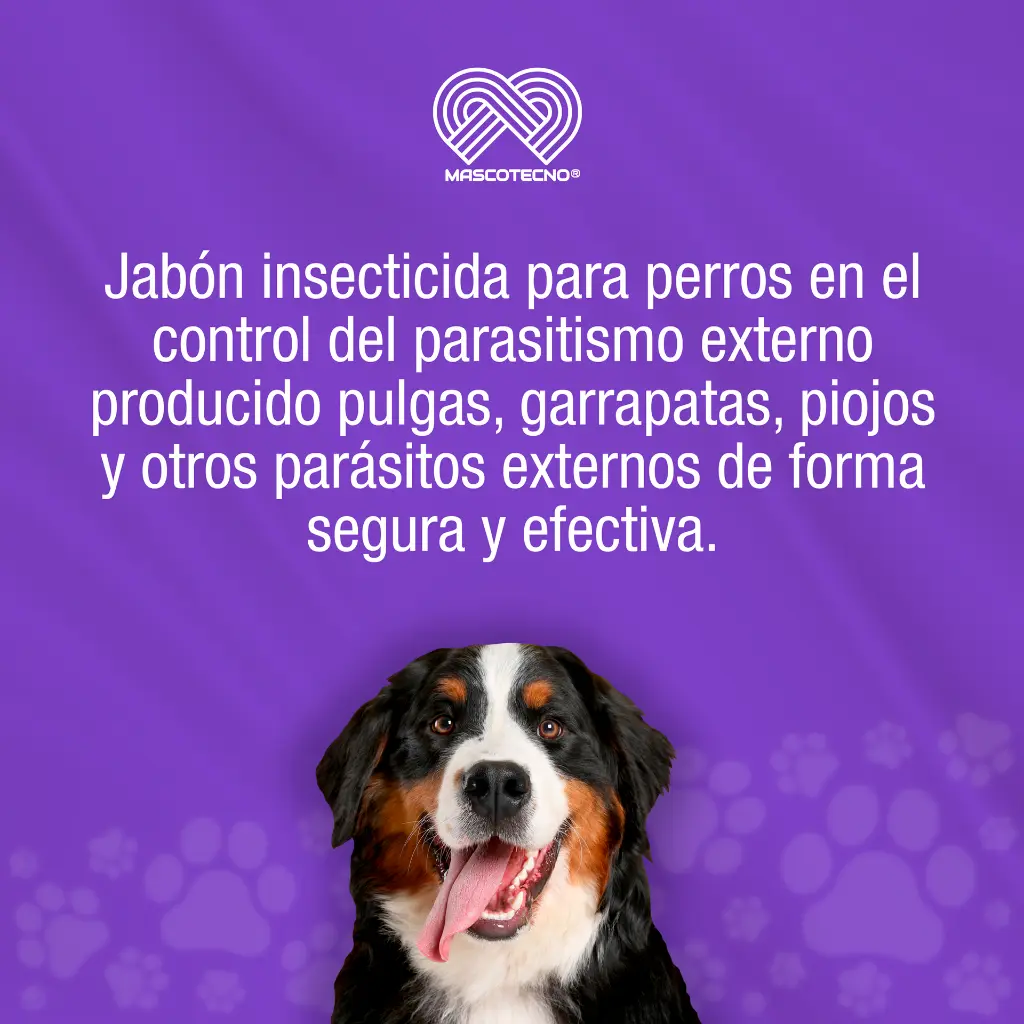 JABON_CANAMOR_INSECTICIDA_90GR_01.webp