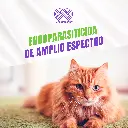 MILPRO_GATOS_ORAL_4TABS_2KG_04.webp