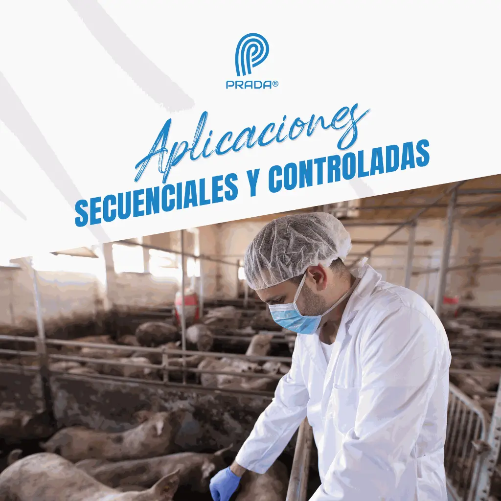 JERINGA_APLICACION_CONTINUA_TIPO_A_03.webp
