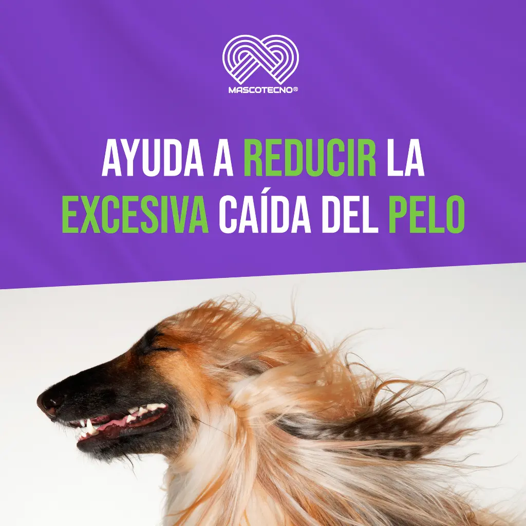 SHEDX_PERRO_16OZ_05.webp
