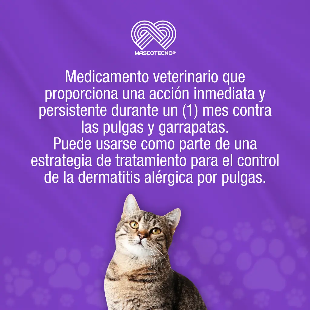 CREDELIO CAT TAB (2-8 KG) 48 MG X 3 TABLETAS