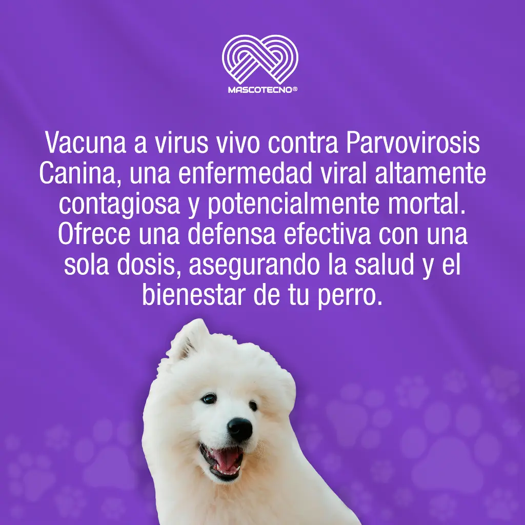 VACUNA_PROCYON_PARVO_J_01.webp