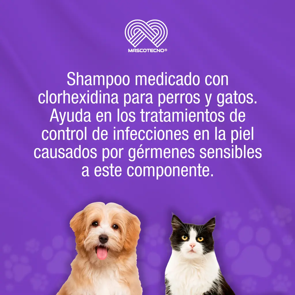 SHAMPOO_CANIS_FELIS_MED_4LT_01.webp