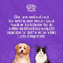 SHAMPOO_CANIS_FELIS_MED_4LT_01.webp
