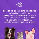 NOVABRONCOL_PETS_120ML_01.webp