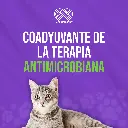 NOVABRONCOL_PETS_120ML_05.webp