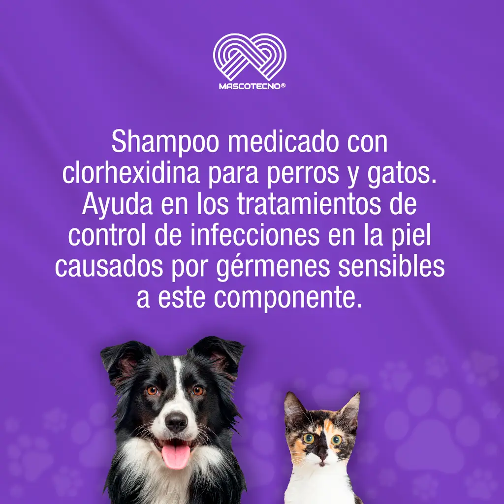 SHAMPOO_CANIS_FELIS_MED_1LT_01.webp