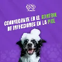SHAMPOO_CANIS_FELIS_MED_1LT_05.webp