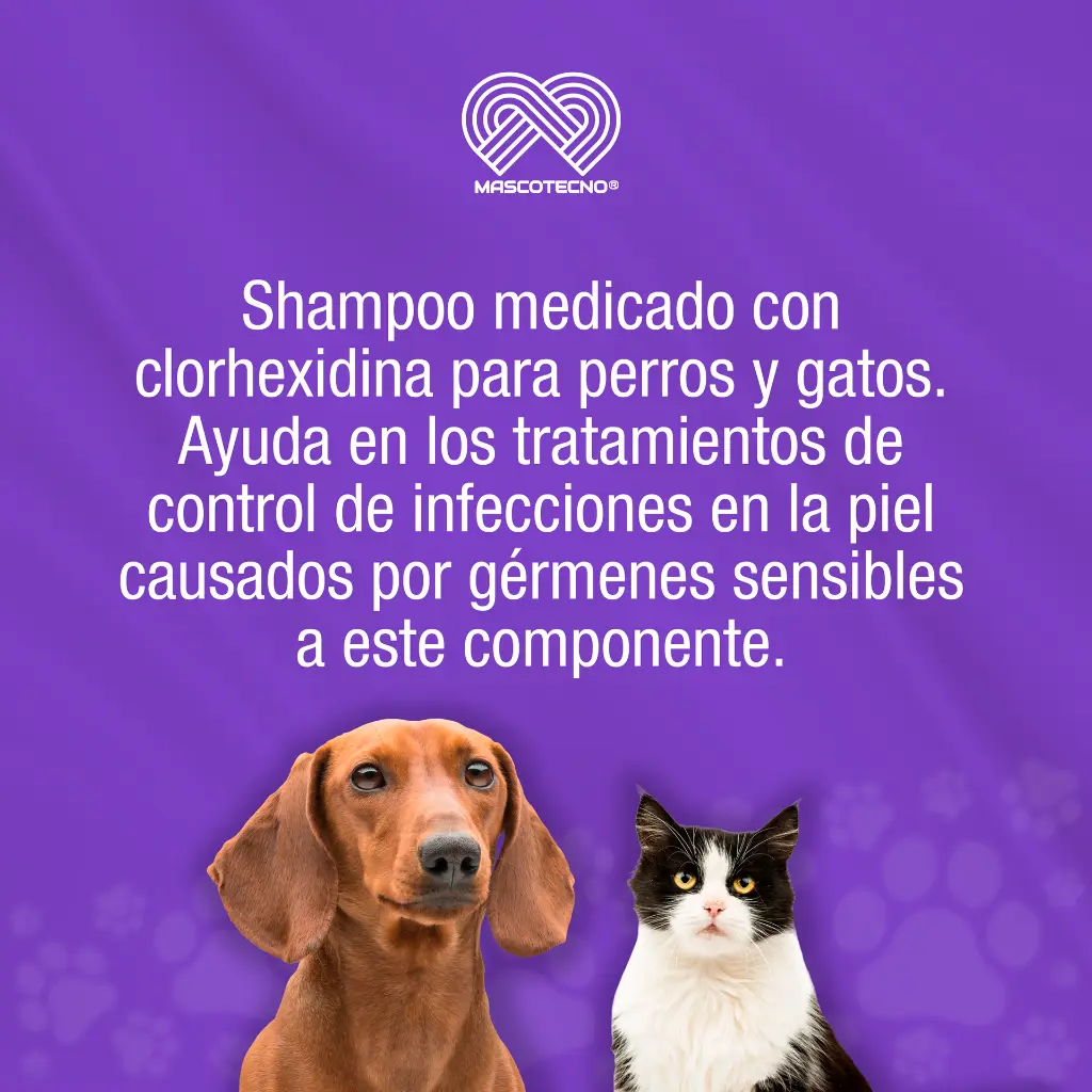 SHAMPOO_CANIS_FELIS_MED_200ML_01.webp