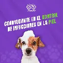 SHAMPOO_CANIS_FELIS_MED_200ML_05.webp