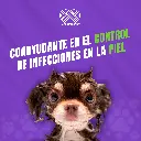 SHAMPOO_CANIS_FELIS_MED_30ML_05.webp