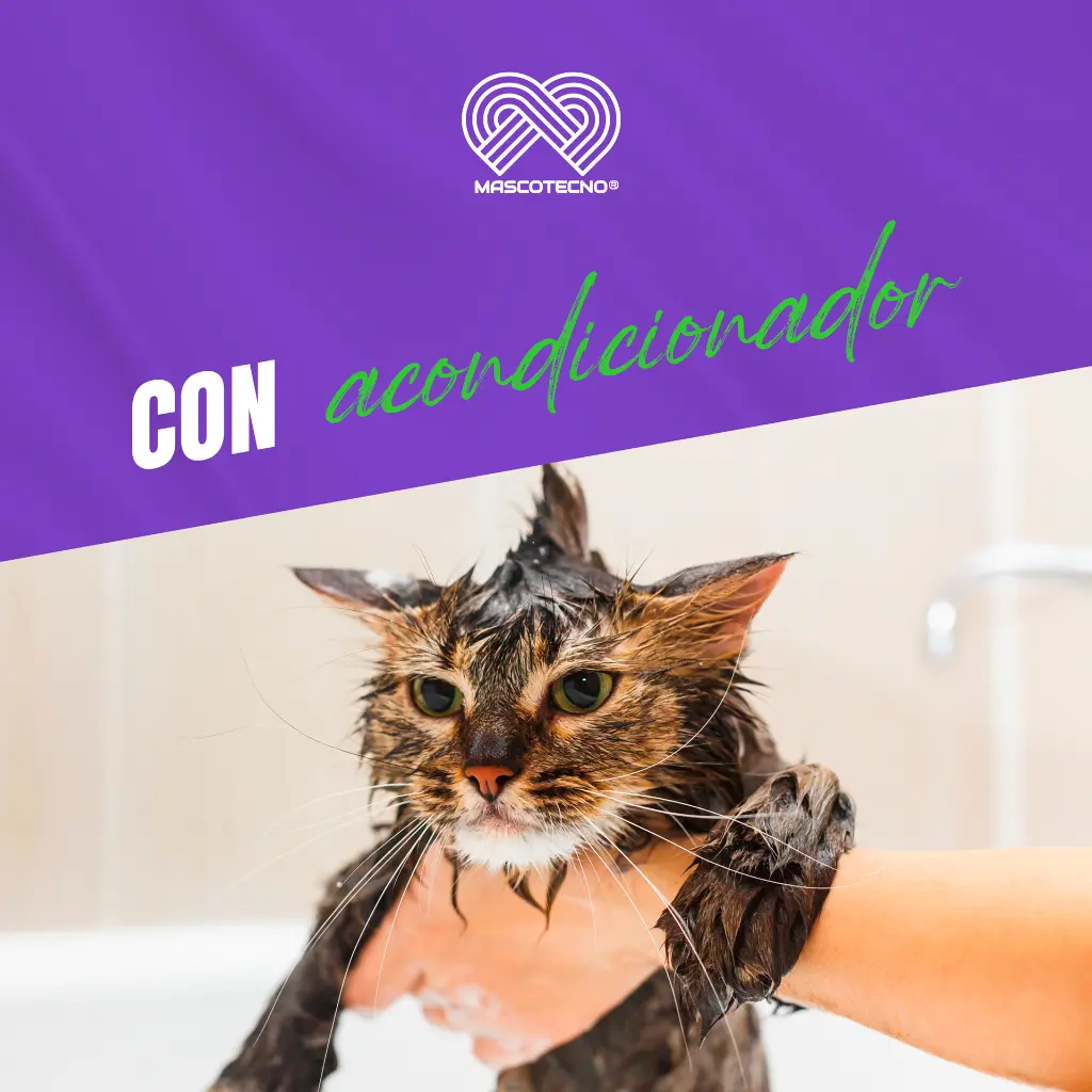 SHAMPOO_CANIS_FELIS_ALOE_ORTIGA_ALOE_4LT_05.webp