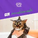 SHAMPOO_CANIS_FELIS_ALOE_ORTIGA_ALOE_4LT_05.webp