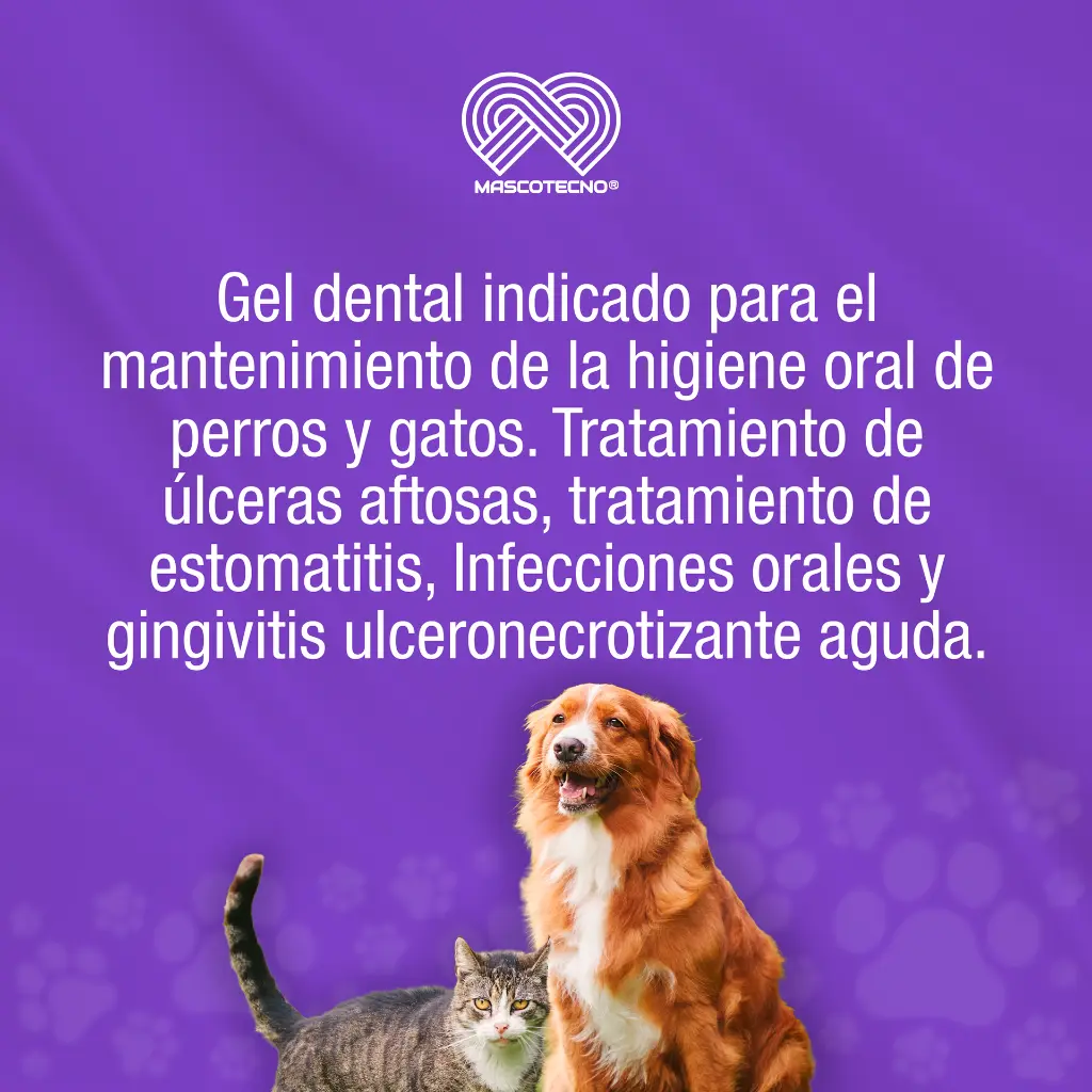 GEL_DENTAL_LINTODENT_CANIS_FELIS_50GR_01.webp