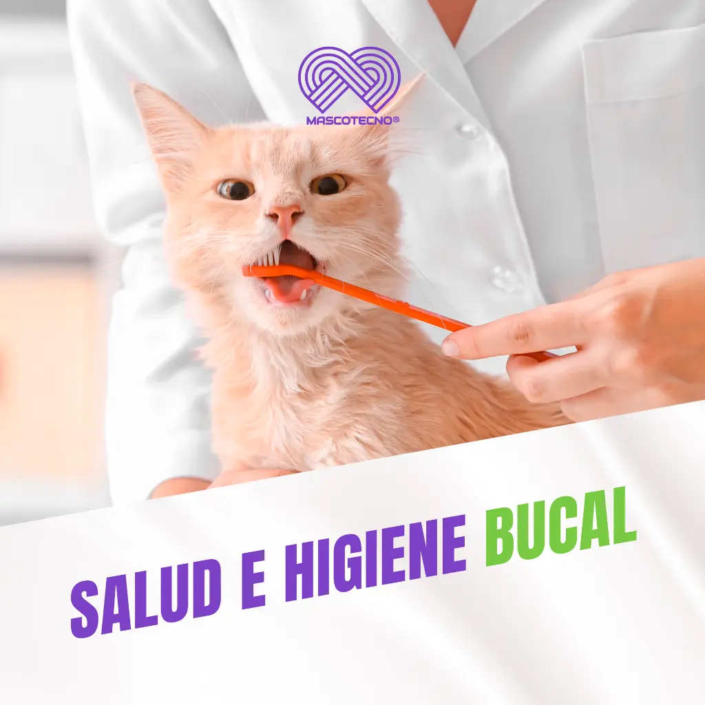 GEL_DENTAL_LINTODENT_CANIS_FELIS_50GR_04.webp
